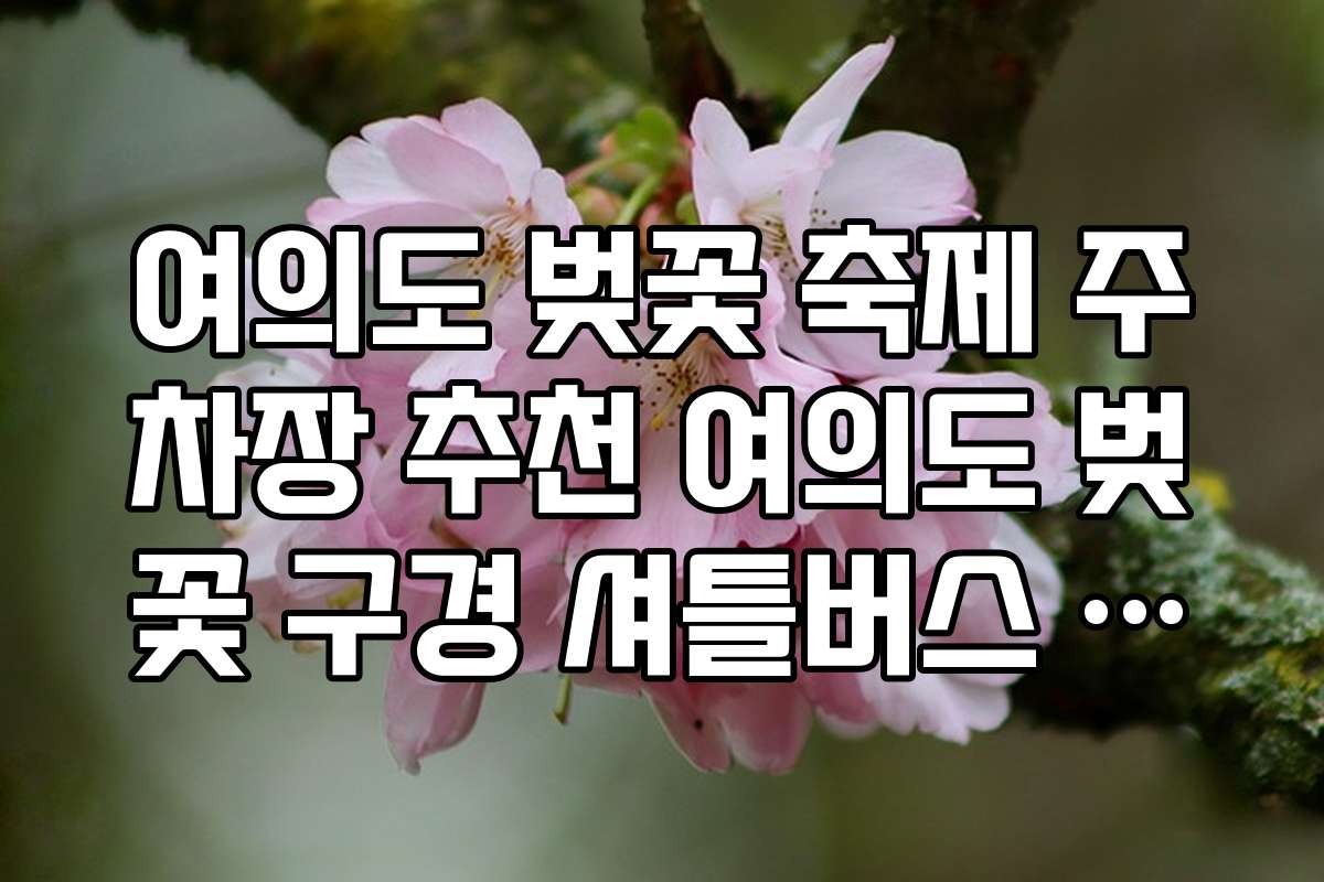 여의도 벚꽃 축제 주차장 추천 여의도 벚꽃 구경 셔틀버스 정류장