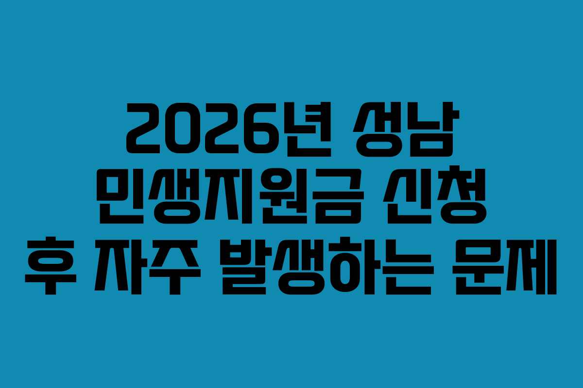 2026년 성남 민생지원금 신청 후 자주 발생하는 문제