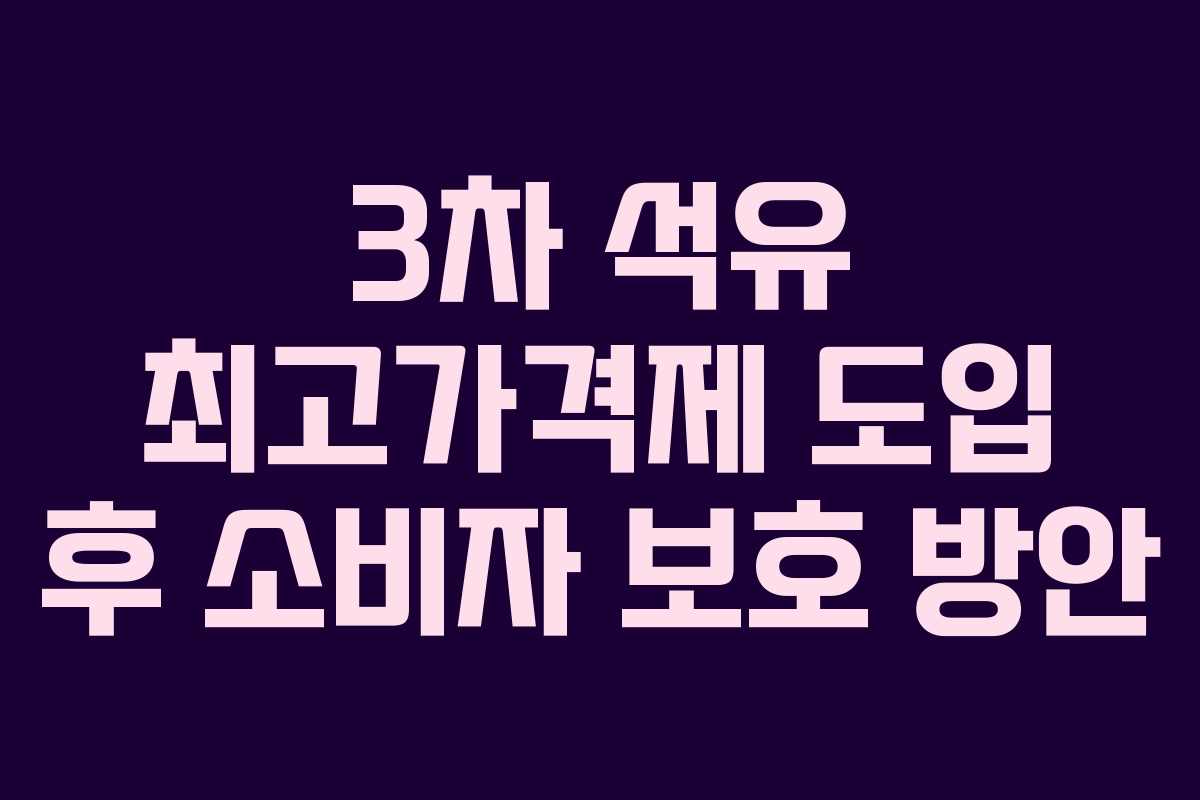 3차 석유 최고가격제 도입 후 소비자 보호 방안