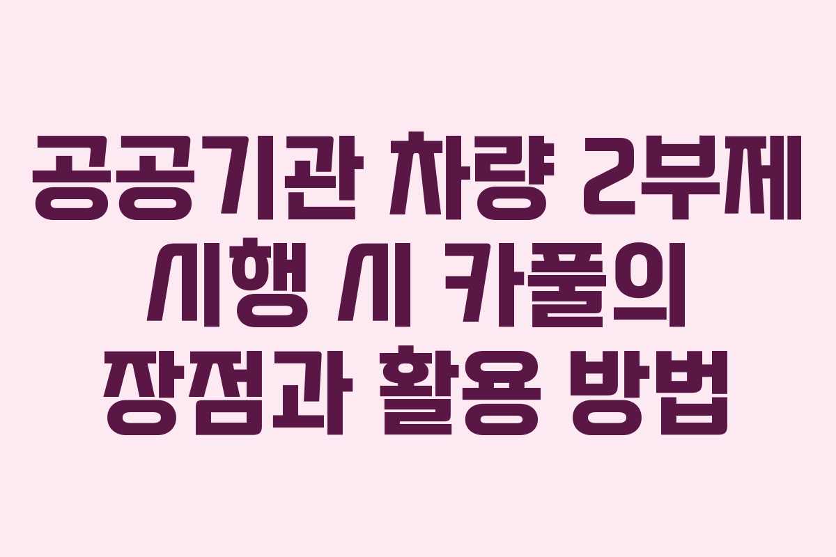 공공기관 차량 2부제 시행 시 카풀의 장점과 활용 방법