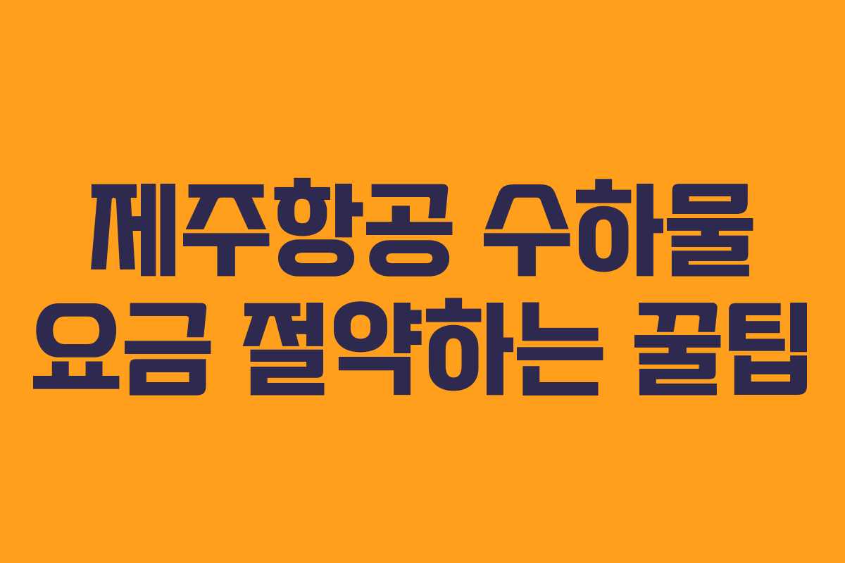제주항공 수하물 요금 절약하는 꿀팁