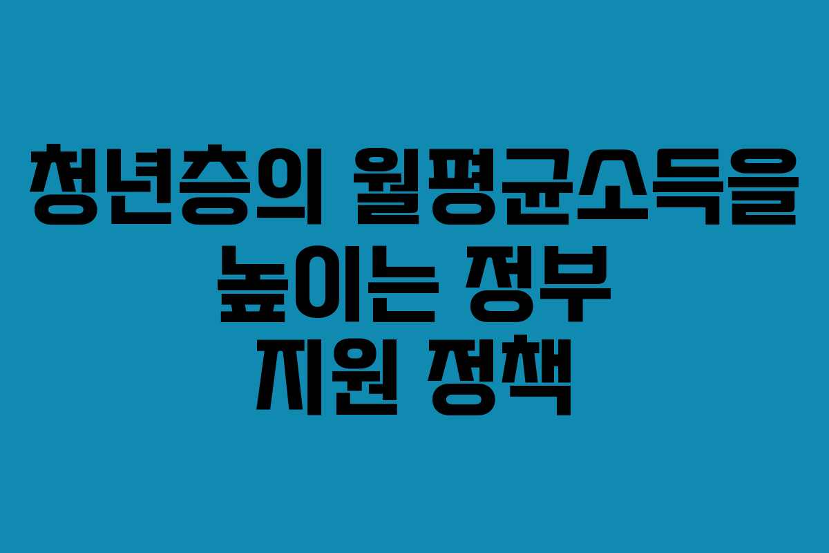 청년층의 월평균소득을 높이는 정부 지원 정책
