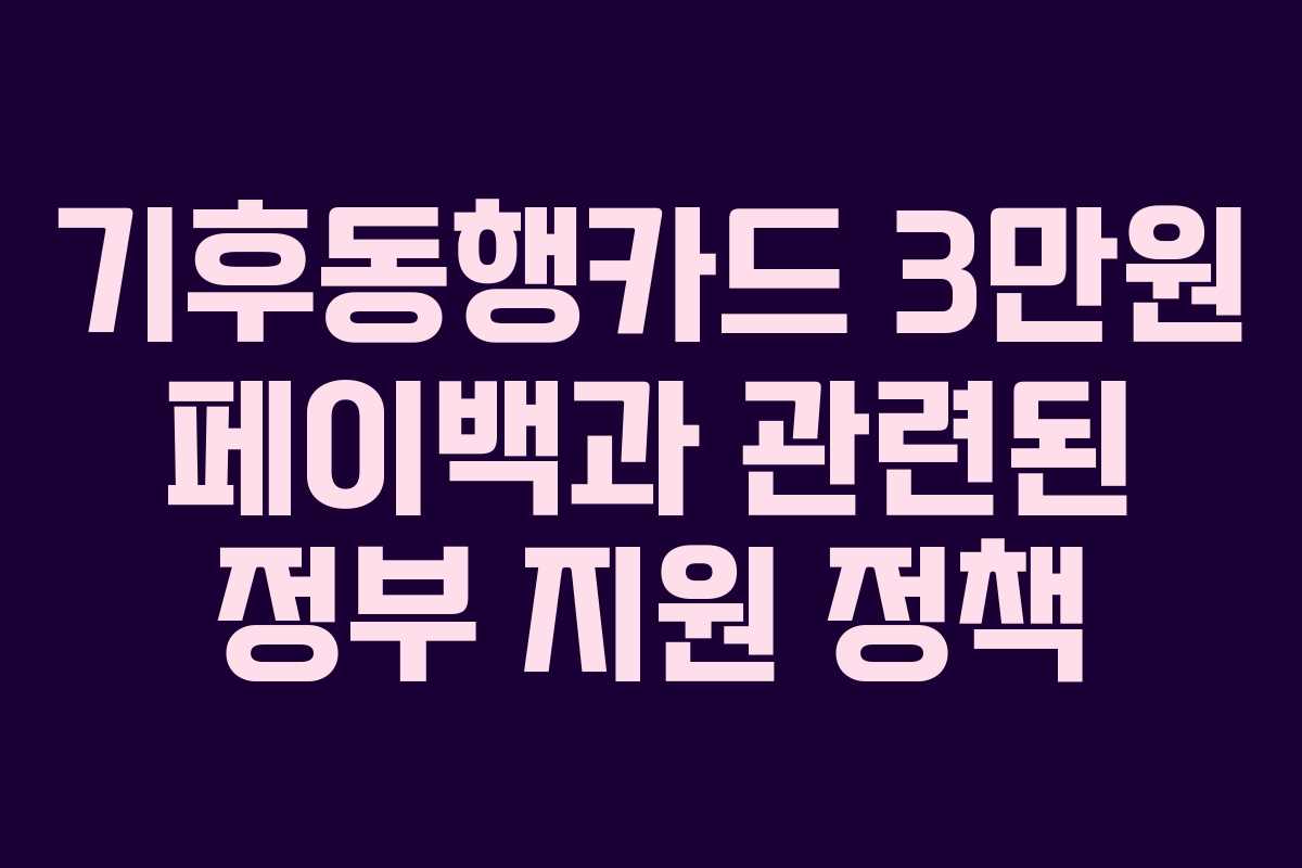 기후동행카드 3만원 페이백과 관련된 정부 지원 정책