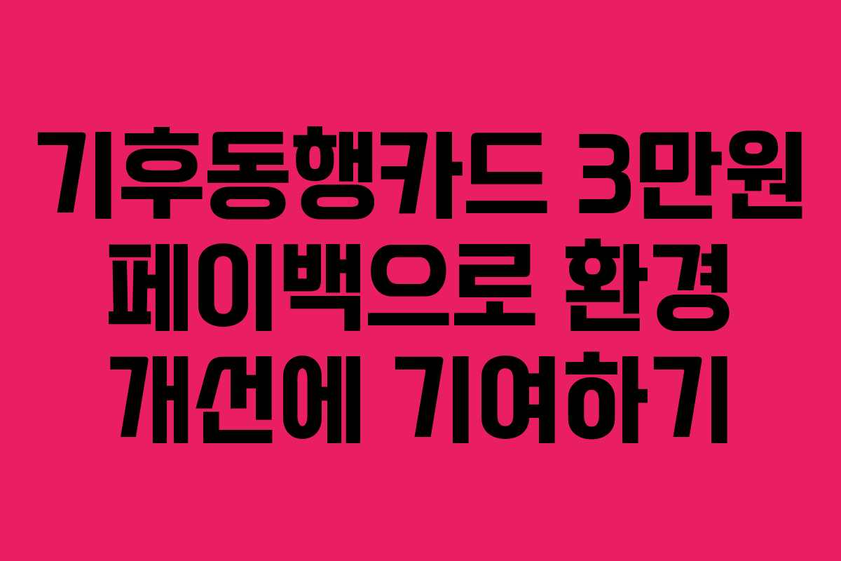 기후동행카드 3만원 페이백으로 환경 개선에 기여하기