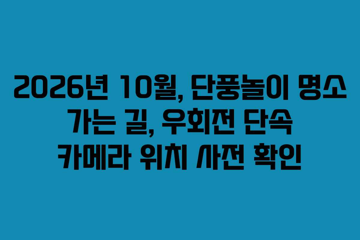 2026년 10월, 단풍놀이 명소 가는 길, 우회전 단속 카메라 위치 사전 확인