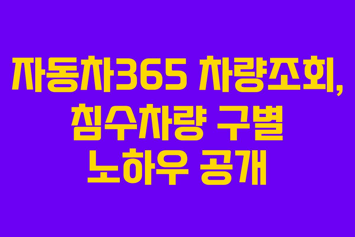 자동차365 차량조회, 침수차량 구별 노하우 공개