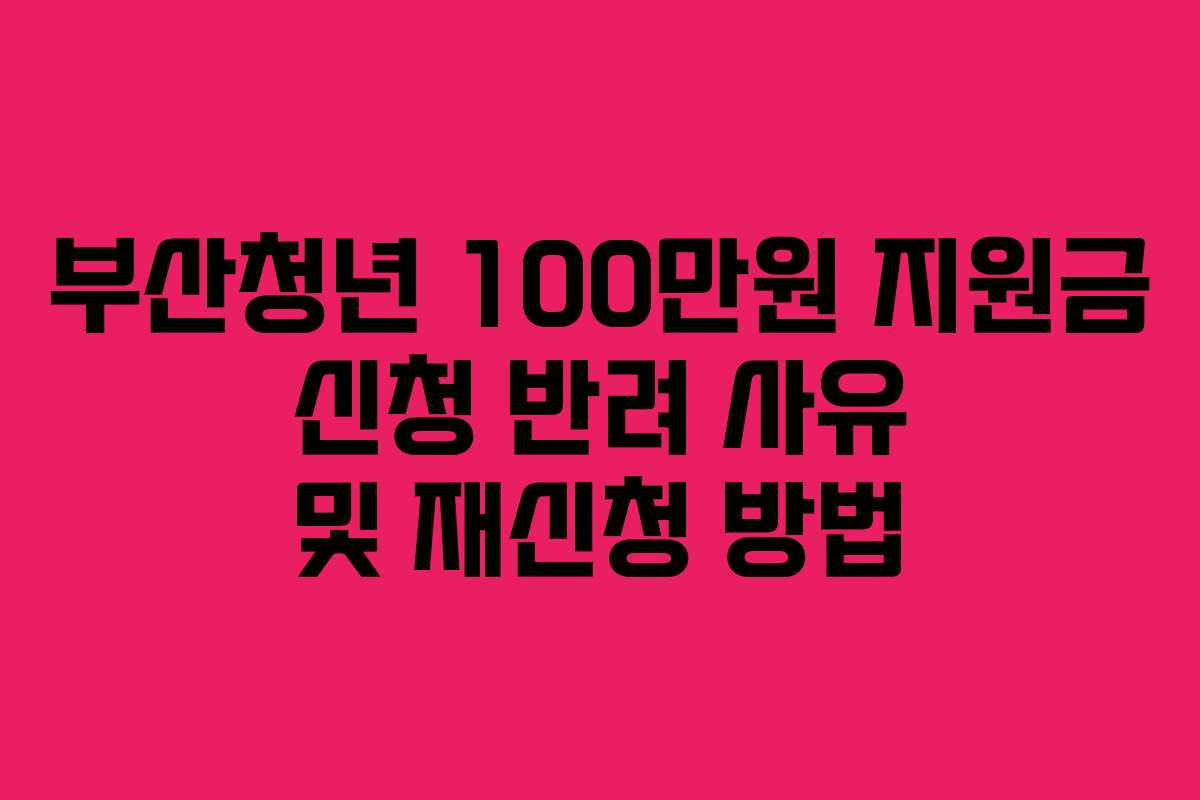 부산청년 100만원 지원금 신청 반려 사유 및 재신청 방법