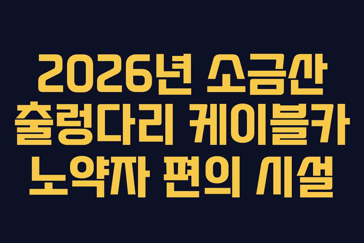 2026년 소금산 출렁다리 케이블카 노약자 편의 시설