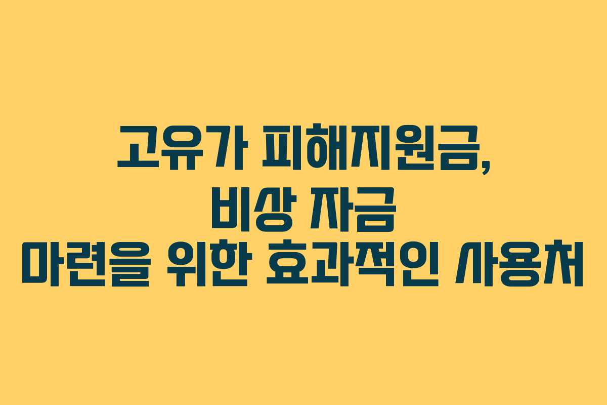 고유가 피해지원금, 비상 자금 마련을 위한 효과적인 사용처