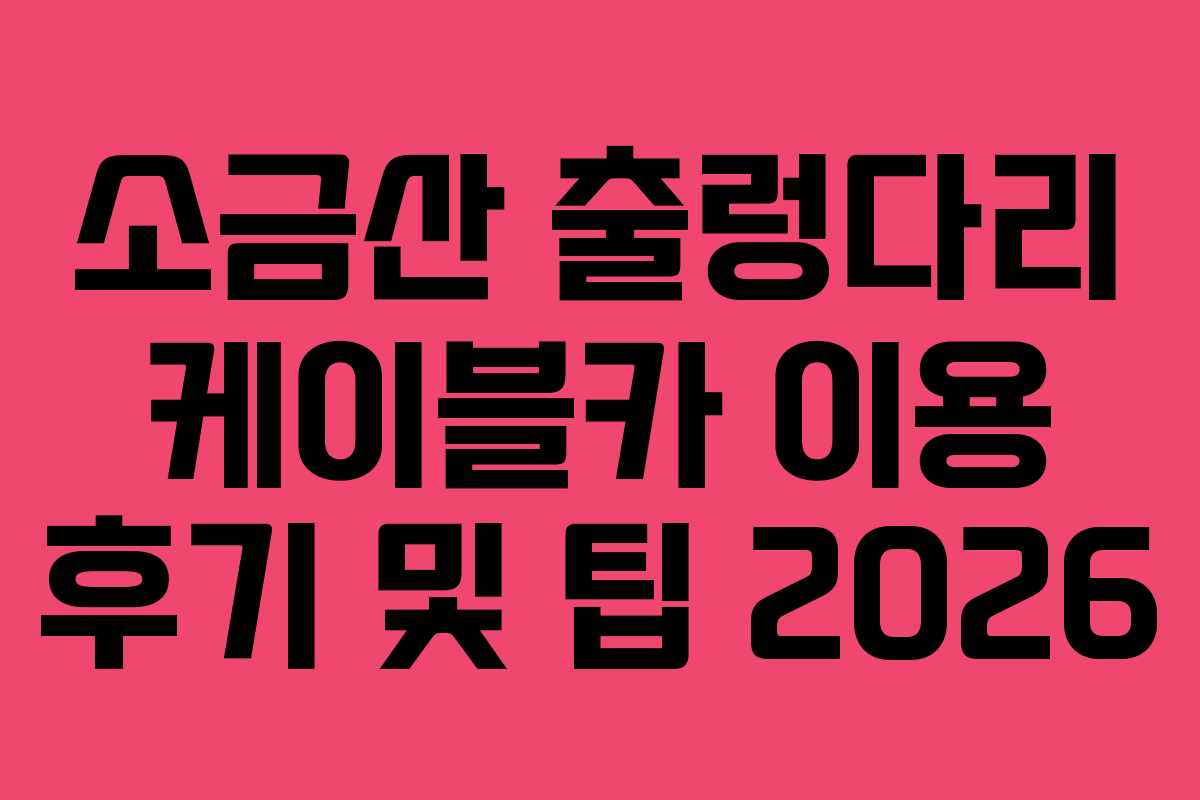 소금산 출렁다리 케이블카 이용 후기 및 팁 2026