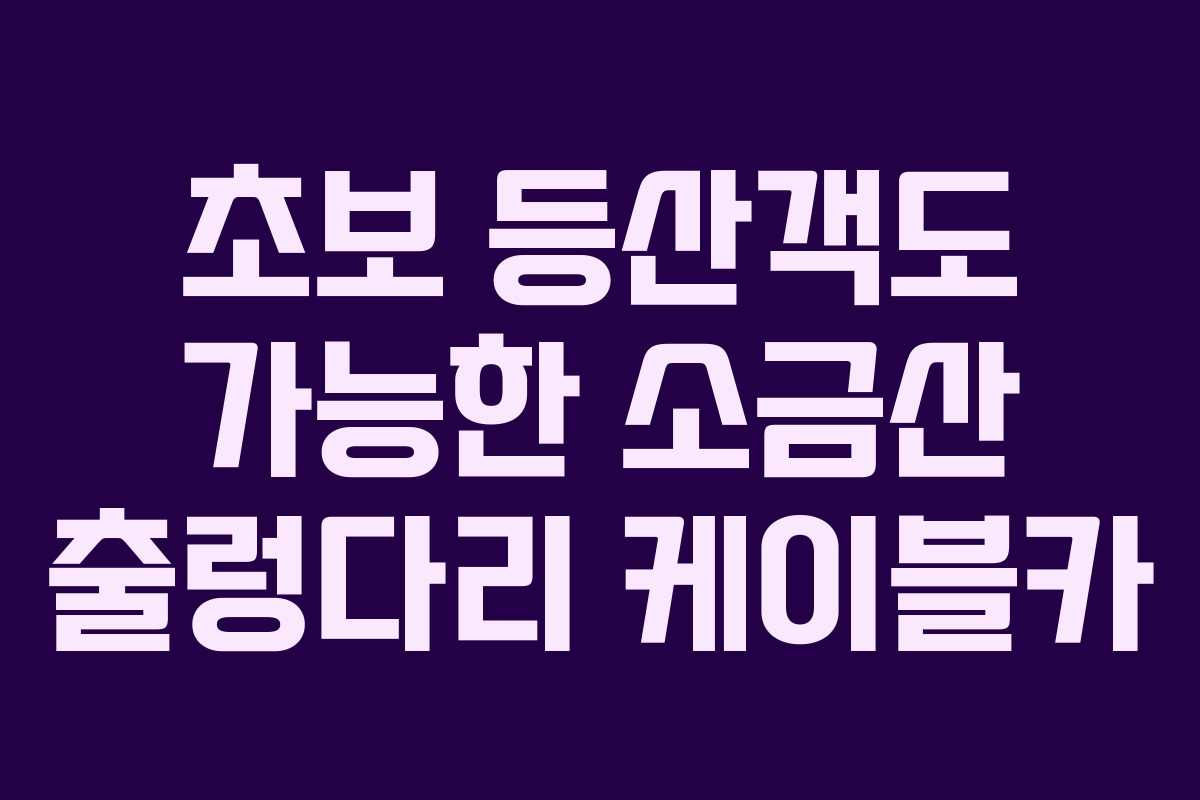 초보 등산객도 가능한 소금산 출렁다리 케이블카