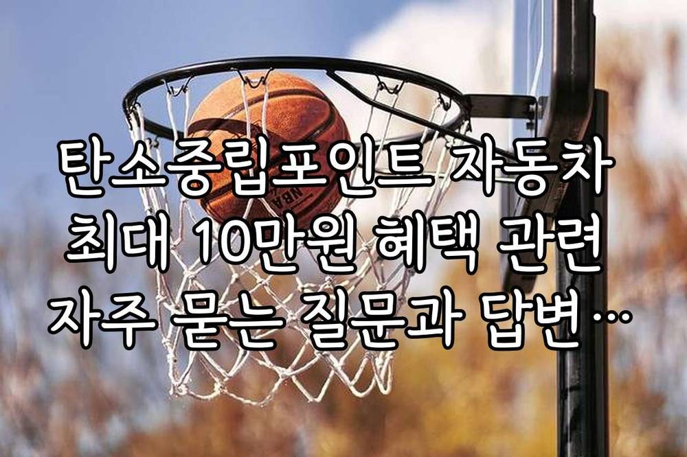 탄소중립포인트 자동차 최대 10만원 혜택 관련 자주 묻는 질문과 답변 모음