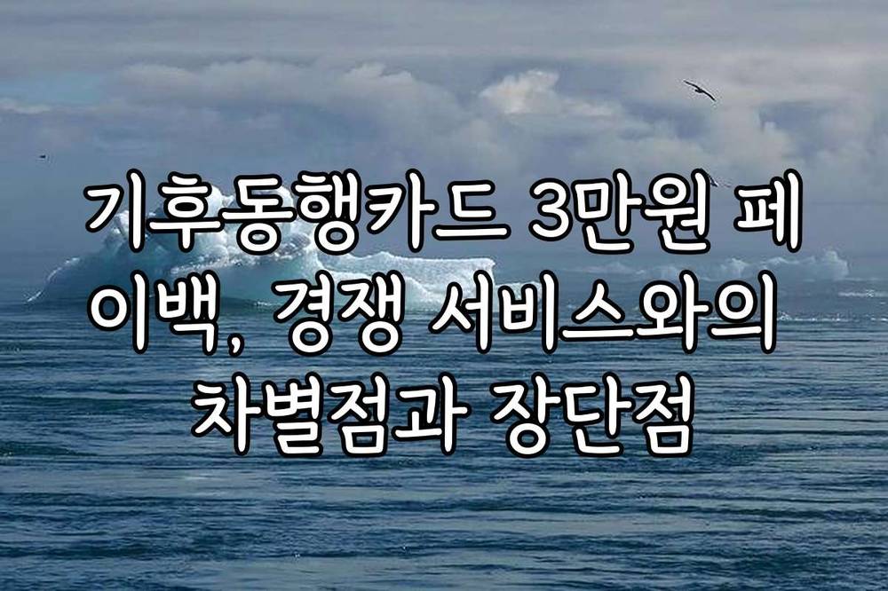 기후동행카드 3만원 페이백, 경쟁 서비스와의 차별점과 장단점