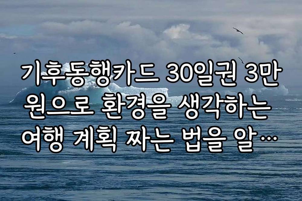 기후동행카드 30일권 3만원으로 환경을 생각하는 여행 계획 짜는 법을 알려드립니다
