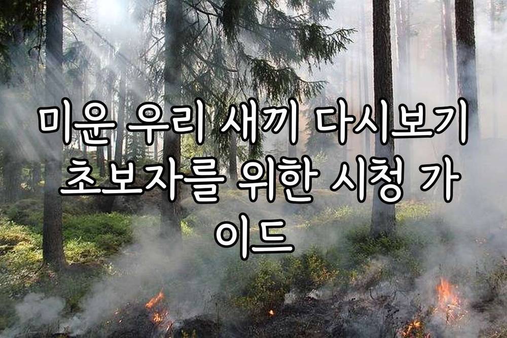 미운 우리 새끼 다시보기 초보자를 위한 시청 가이드