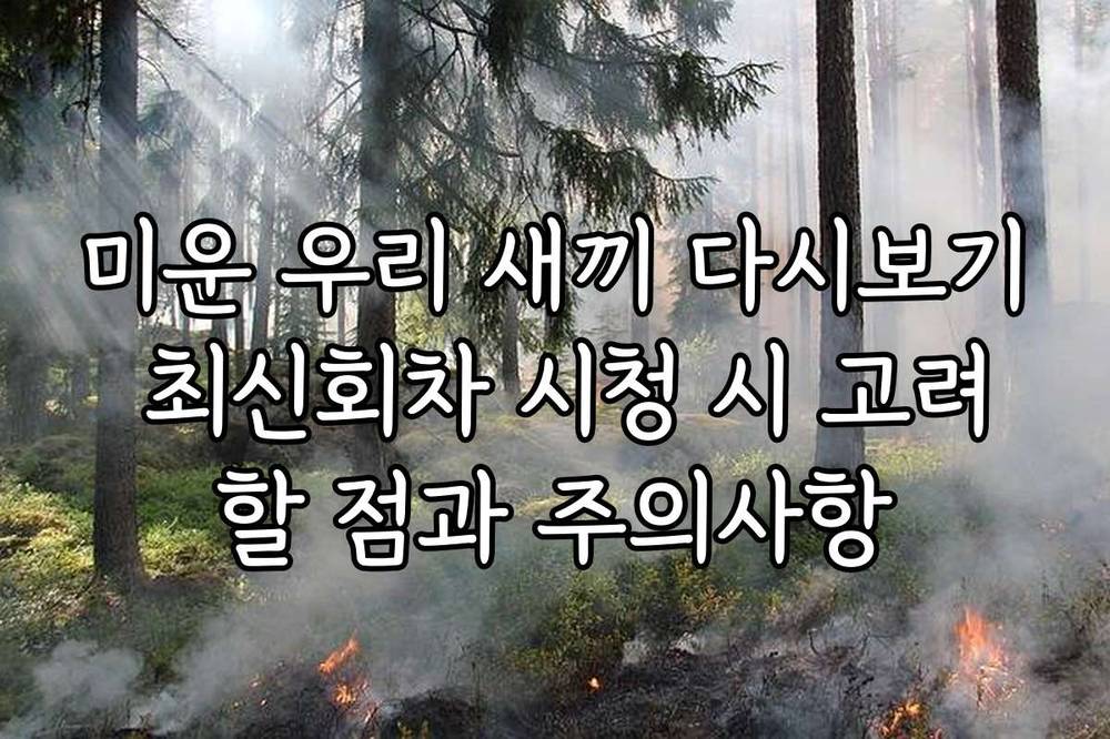 미운 우리 새끼 다시보기 최신회차 시청 시 고려할 점과 주의사항