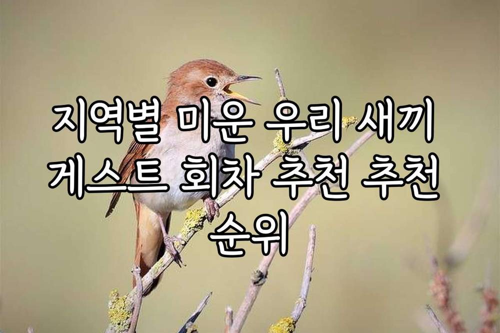 지역별 미운 우리 새끼 게스트 회차 추천 추천 순위