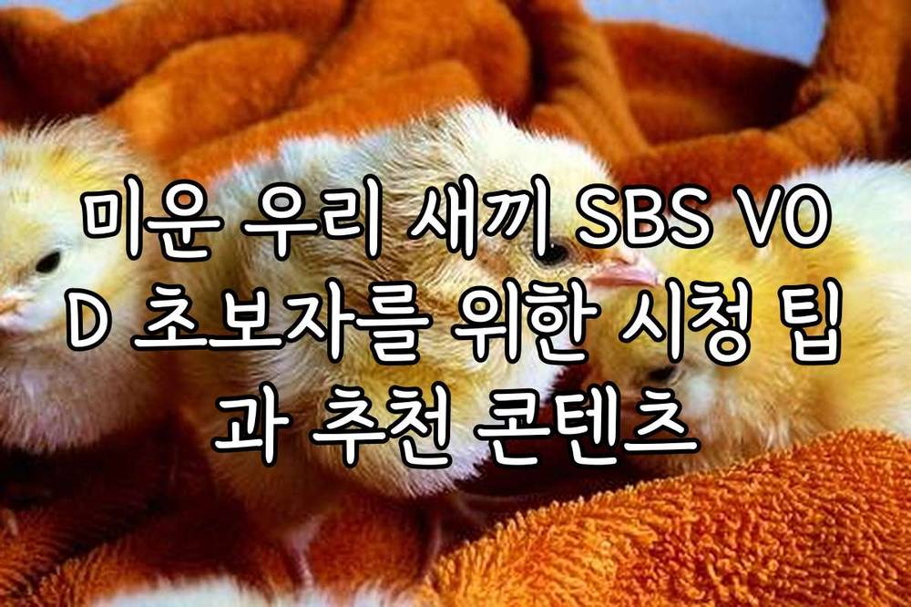 미운 우리 새끼 SBS VOD 초보자를 위한 시청 팁과 추천 콘텐츠