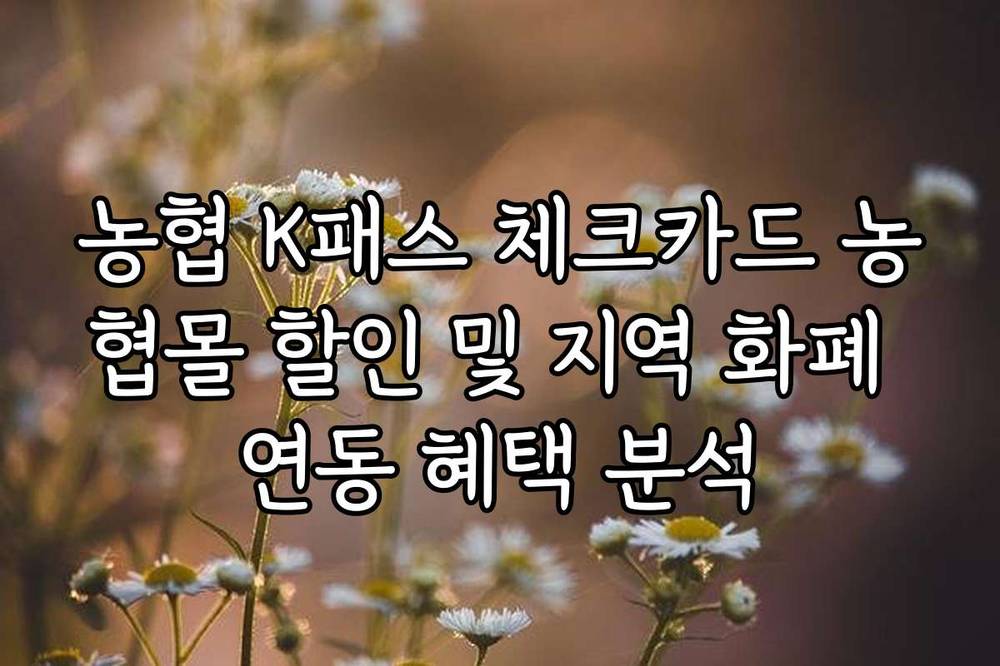 농협 K패스 체크카드 농협몰 할인 및 지역 화폐 연동 혜택 분석