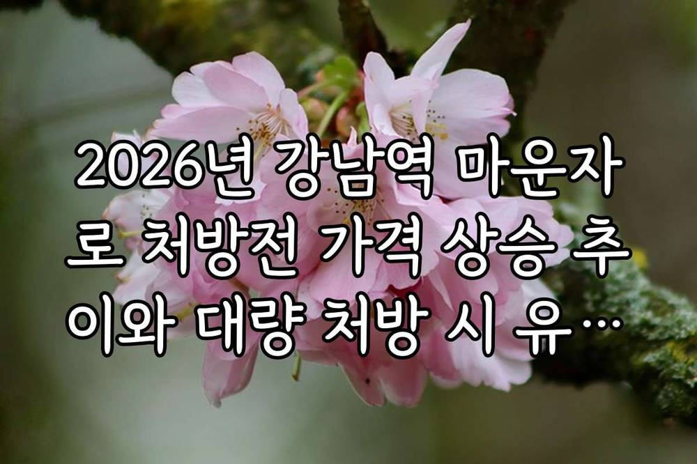 2026년 강남역 마운자로 처방전 가격 상승 추이와 대량 처방 시 유리한 곳