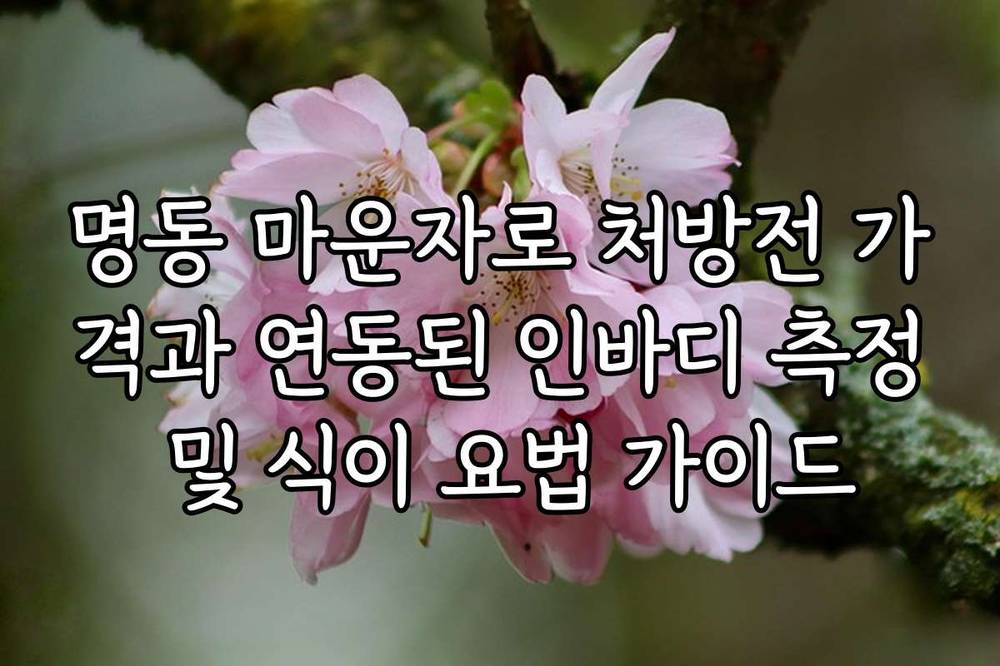 명동 마운자로 처방전 가격과 연동된 인바디 측정 및 식이 요법 가이드
