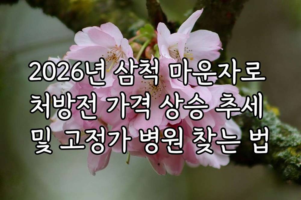 2026년 삼척 마운자로 처방전 가격 상승 추세 및 고정가 병원 찾는 법