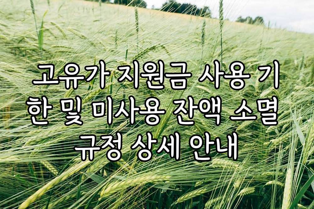 고유가 지원금 사용 기한 및 미사용 잔액 소멸 규정 상세 안내