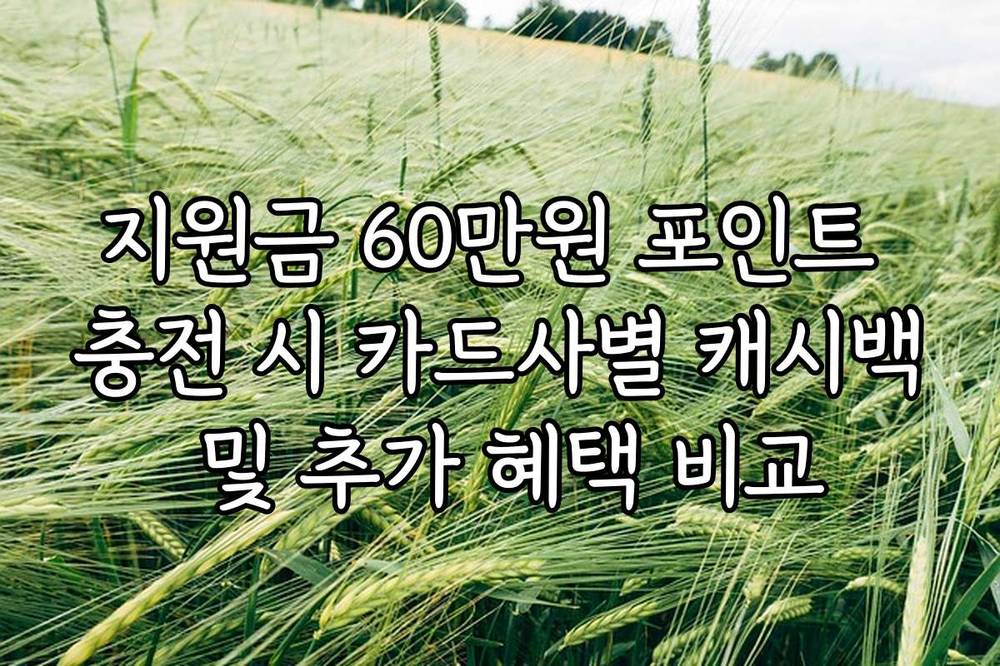 지원금 60만원 포인트 충전 시 카드사별 캐시백 및 추가 혜택 비교