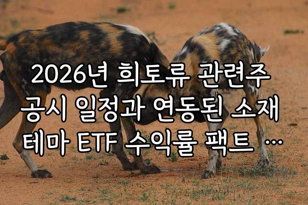 2026년 희토류 관련주 공시 일정과 연동된 소재 테마 ETF 수익률 팩트 체크