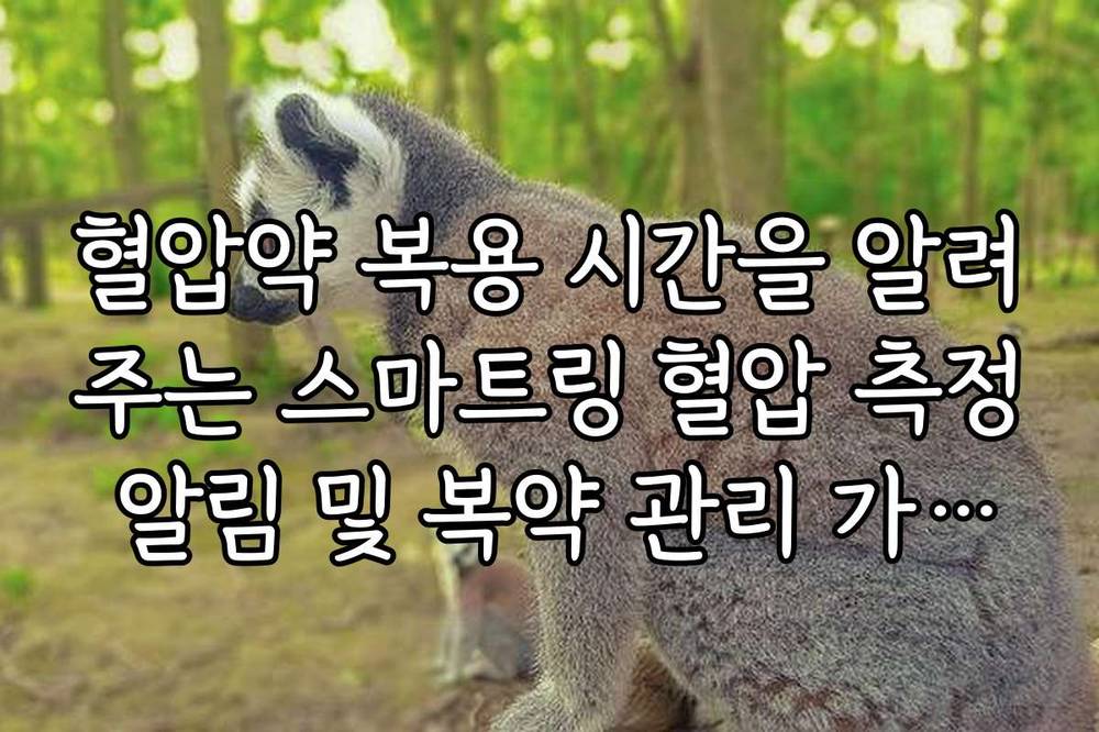 혈압약 복용 시간을 알려주는 스마트링 혈압 측정 알림 및 복약 관리 가이드