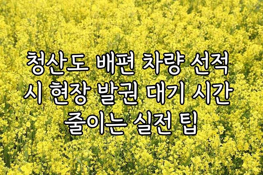 청산도 배편 차량 선적 시 현장 발권 대기 시간 줄이는 실전 팁