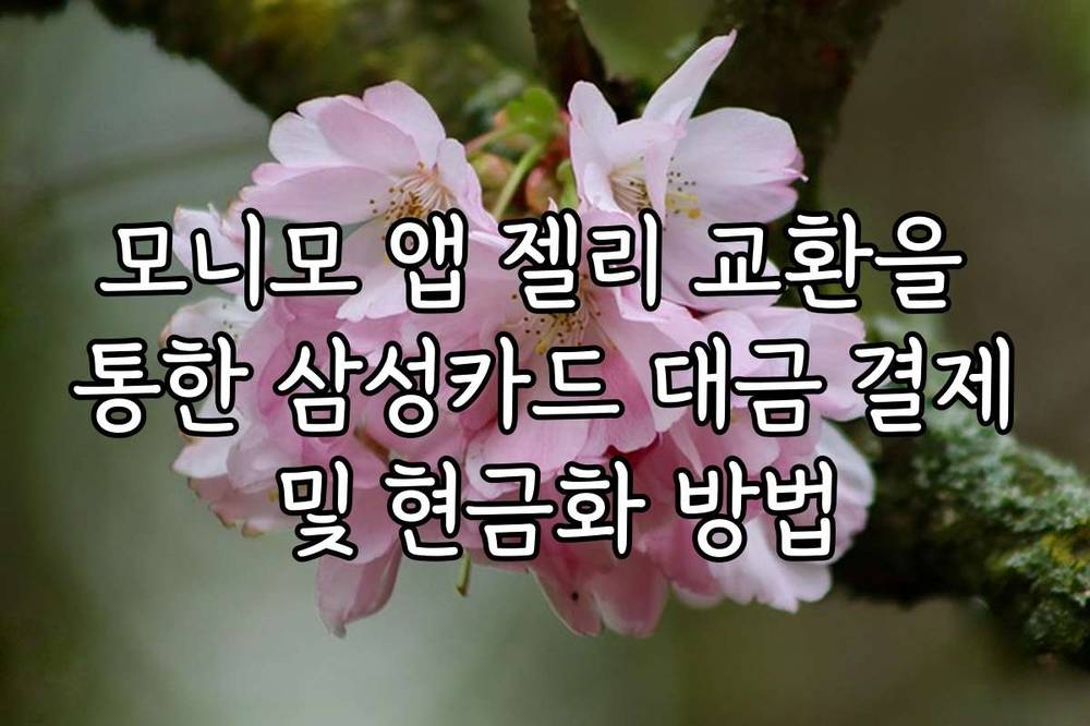 모니모 앱 젤리 교환을 통한 삼성카드 대금 결제 및 현금화 방법