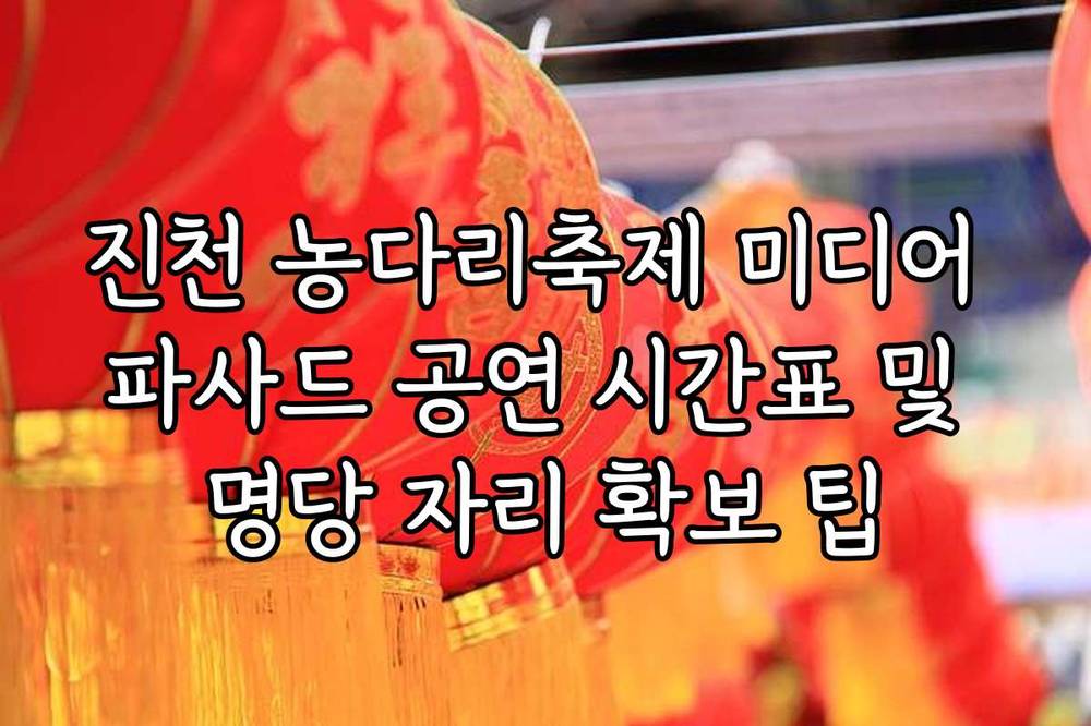 진천 농다리축제 미디어 파사드 공연 시간표 및 명당 자리 확보 팁