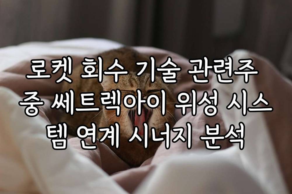 로켓 회수 기술 관련주 중 쎄트렉아이 위성 시스템 연계 시너지 분석