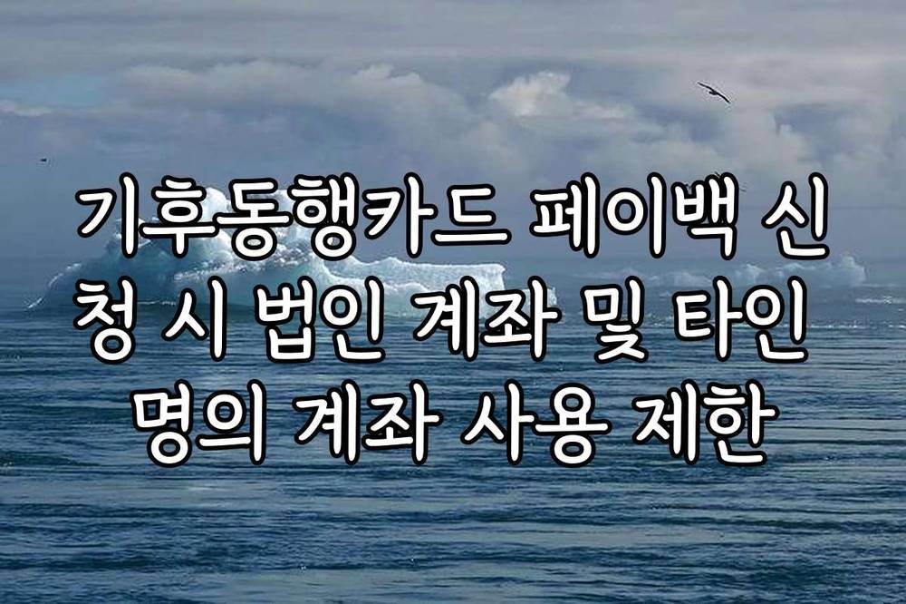 기후동행카드 페이백 신청 시 법인 계좌 및 타인 명의 계좌 사용 제한
