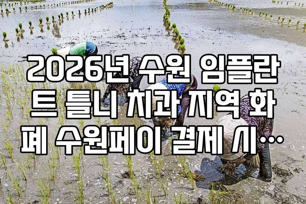 2026년 수원 임플란트 틀니 치과 지역 화폐 수원페이 결제 시 추가 혜택
