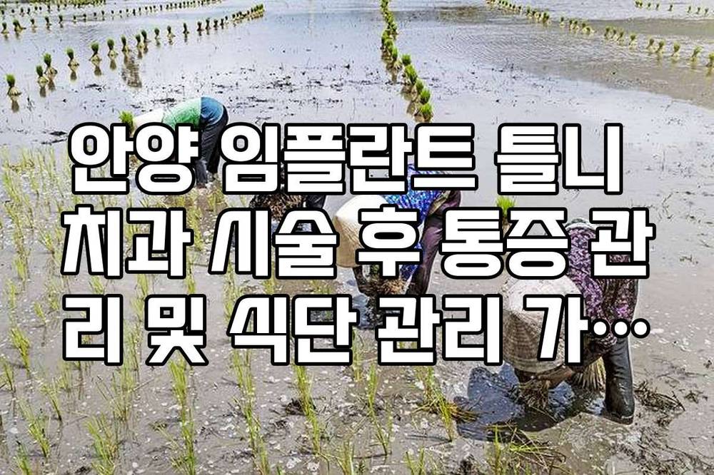 안양 임플란트 틀니 치과 시술 후 통증 관리 및 식단 관리 가이드