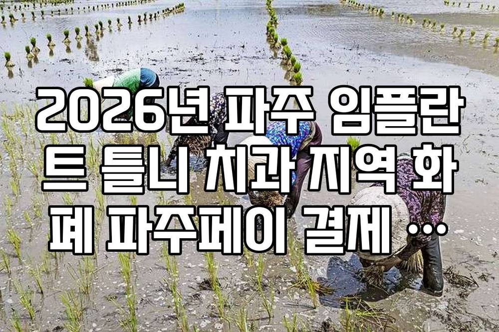 2026년 파주 임플란트 틀니 치과 지역 화폐 파주페이 결제 할인 혜택