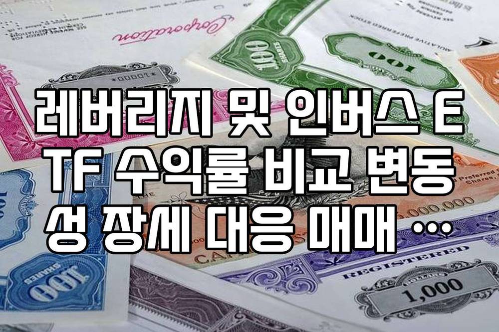 레버리지 및 인버스 ETF 수익률 비교 변동성 장세 대응 매매 전략
