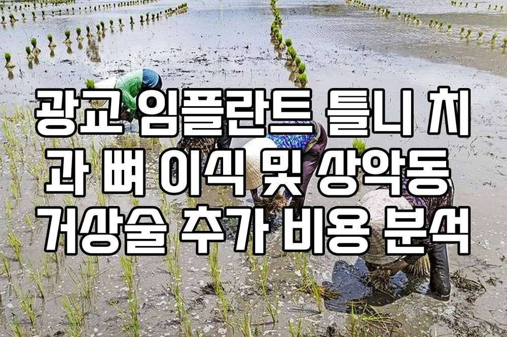 광교 임플란트 틀니 치과 뼈 이식 및 상악동 거상술 추가 비용 분석