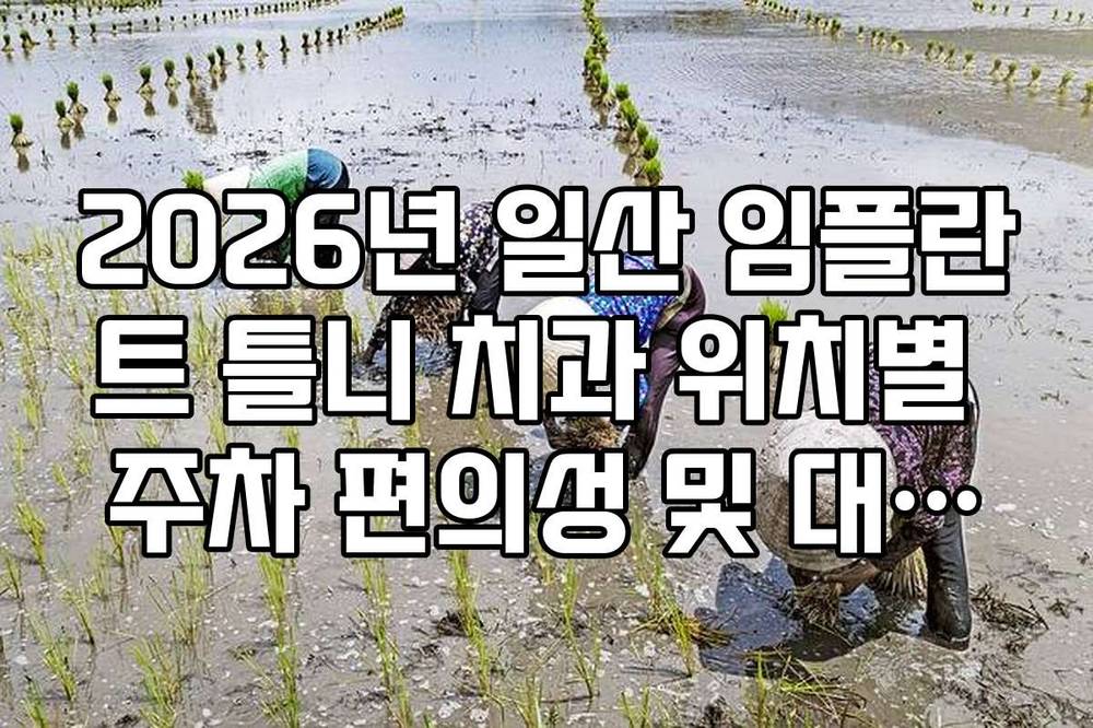 2026년 일산 임플란트 틀니 치과 위치별 주차 편의성 및 대중교통 접근성
