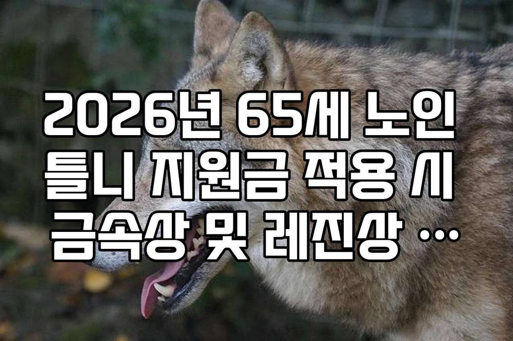 2026년 65세 노인 틀니 지원금 적용 시 금속상 및 레진상 차이점 정리