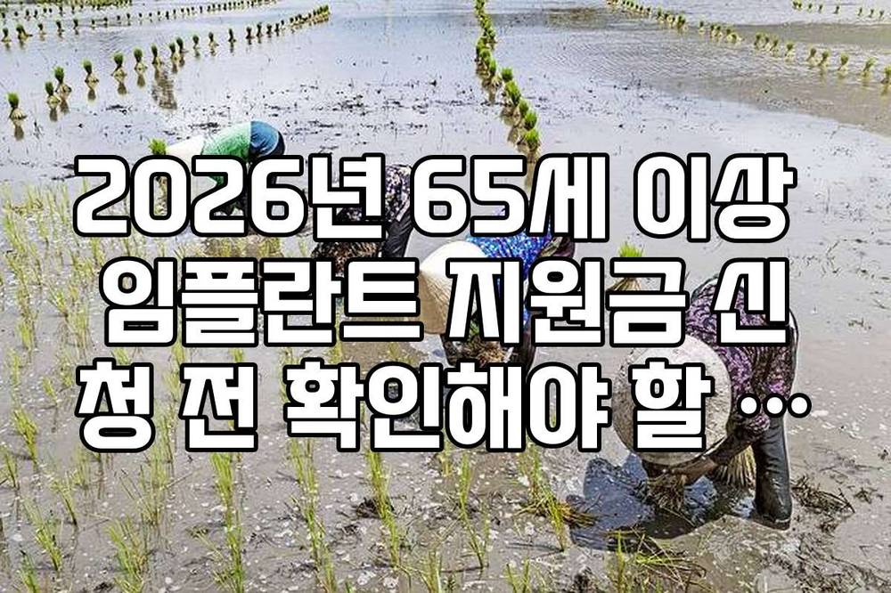 2026년 65세 이상 임플란트 지원금 신청 전 확인해야 할 치과 장비 및 이력