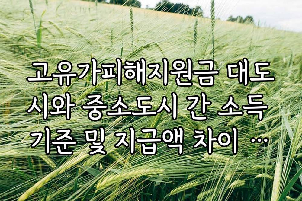고유가피해지원금 대도시와 중소도시 간 소득 기준 및 지급액 차이 여부