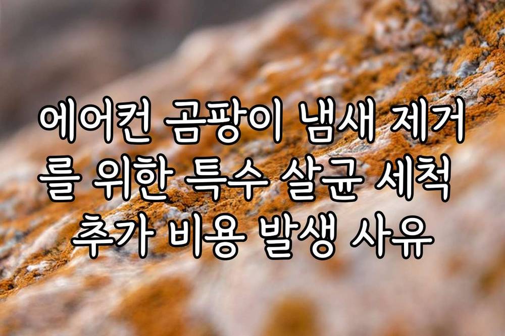 에어컨 곰팡이 냄새 제거를 위한 특수 살균 세척 추가 비용 발생 사유