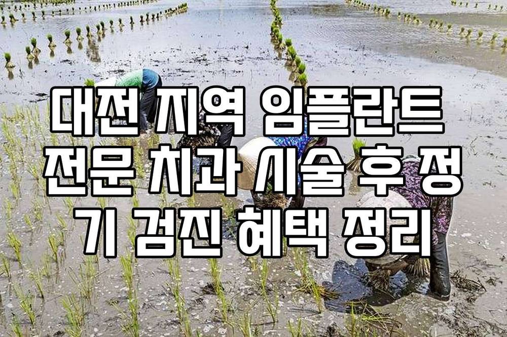 대전 지역 임플란트 전문 치과 시술 후 정기 검진 혜택 정리