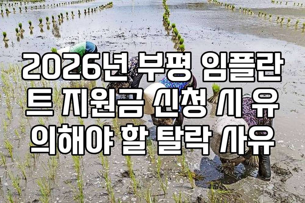2026년 부평 임플란트 지원금 신청 시 유의해야 할 탈락 사유