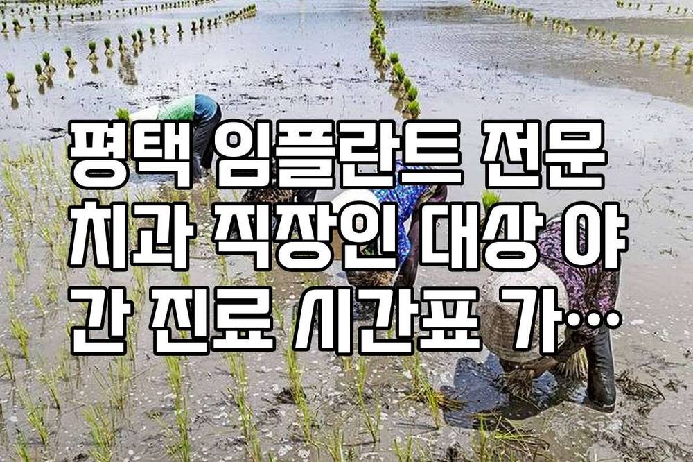 평택 임플란트 전문 치과 직장인 대상 야간 진료 시간표 가이드