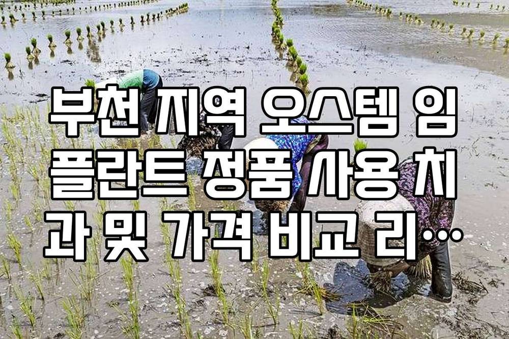 부천 지역 오스템 임플란트 정품 사용 치과 및 가격 비교 리스트