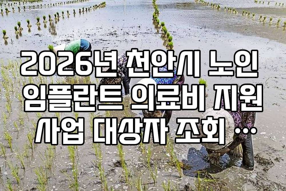 2026년 천안시 노인 임플란트 의료비 지원 사업 대상자 조회 절차